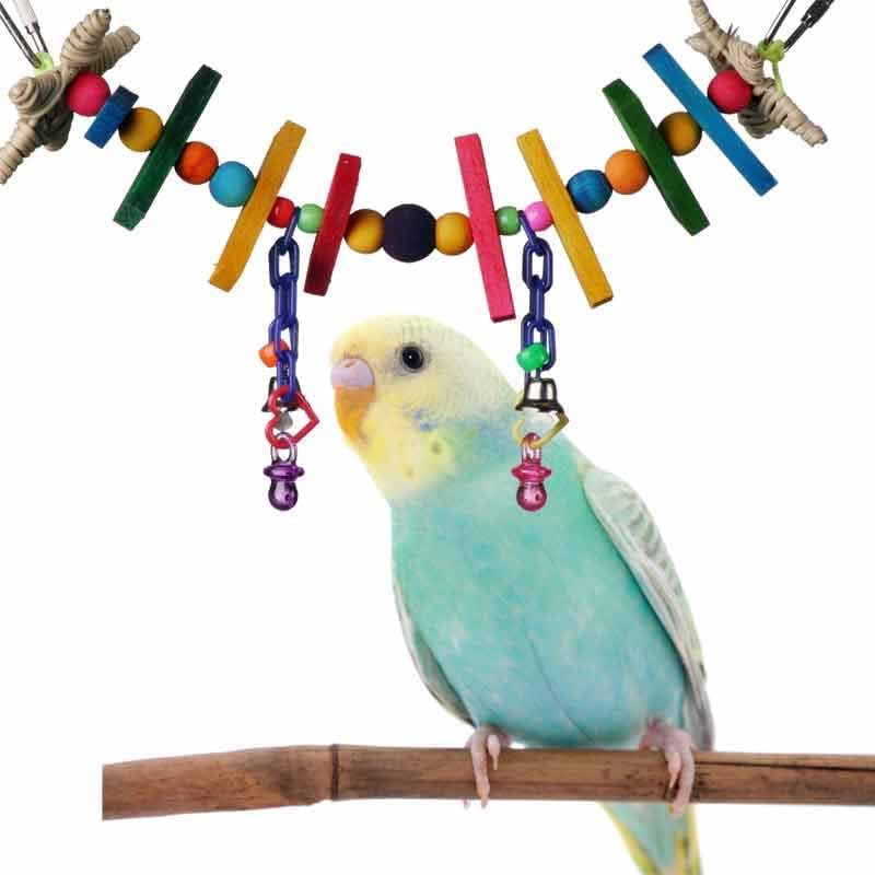 Parrot perched on a branch with Super Bird Creations Mini Rainbow Bridge bird toy in the background