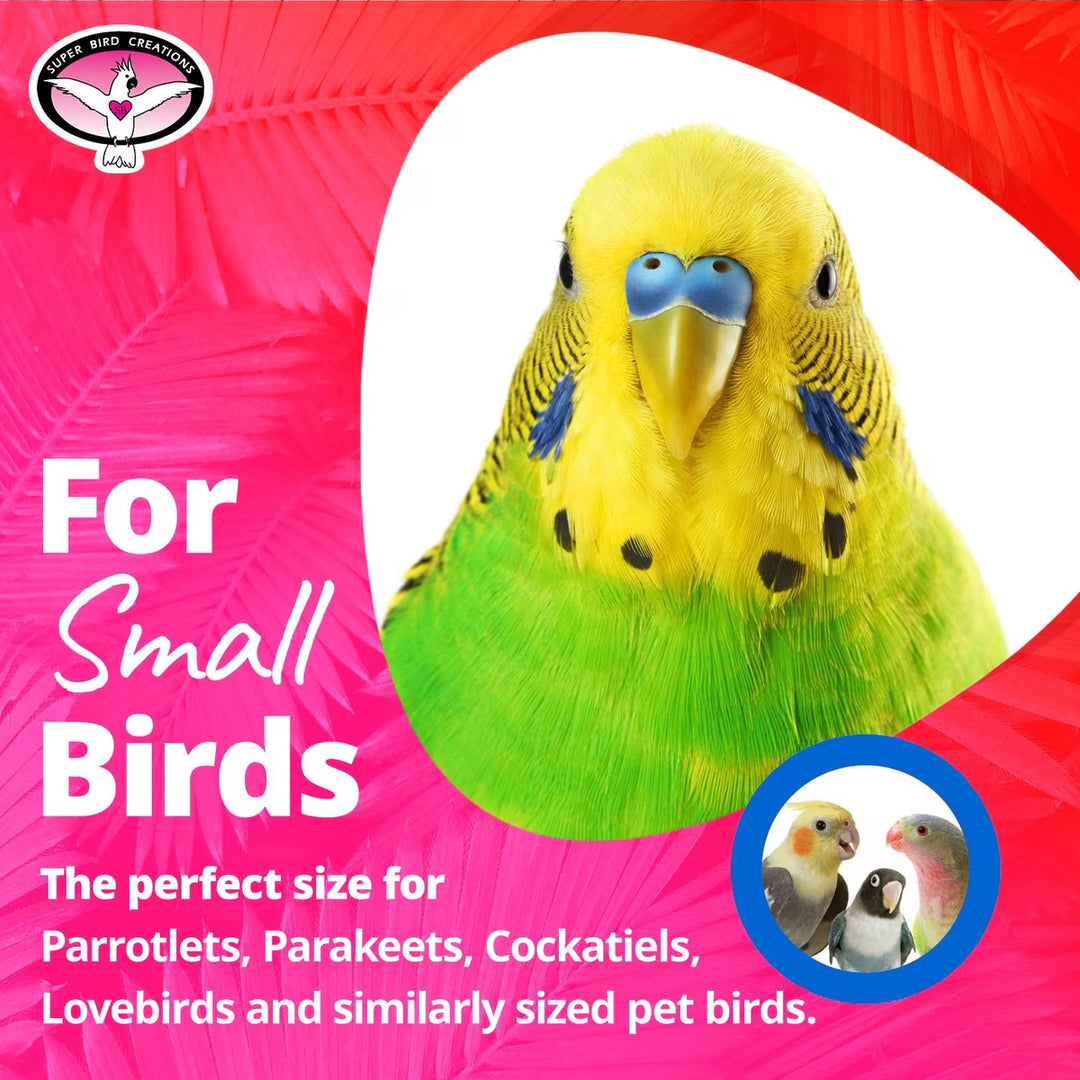 Colorful parakeet on a pink background with text about small birds