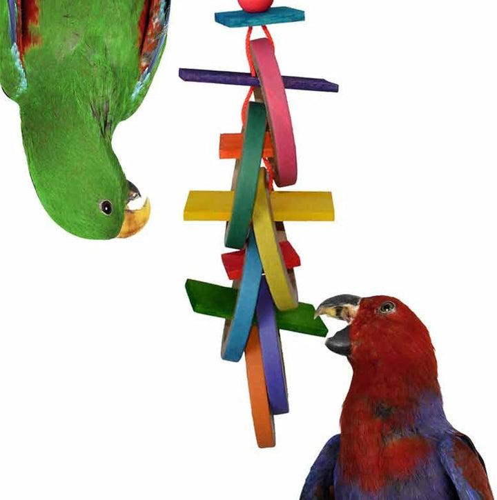 Two parrots interacting with a colorful wooden bird toy (Super Bird Creations Olympic Rings) on a white background