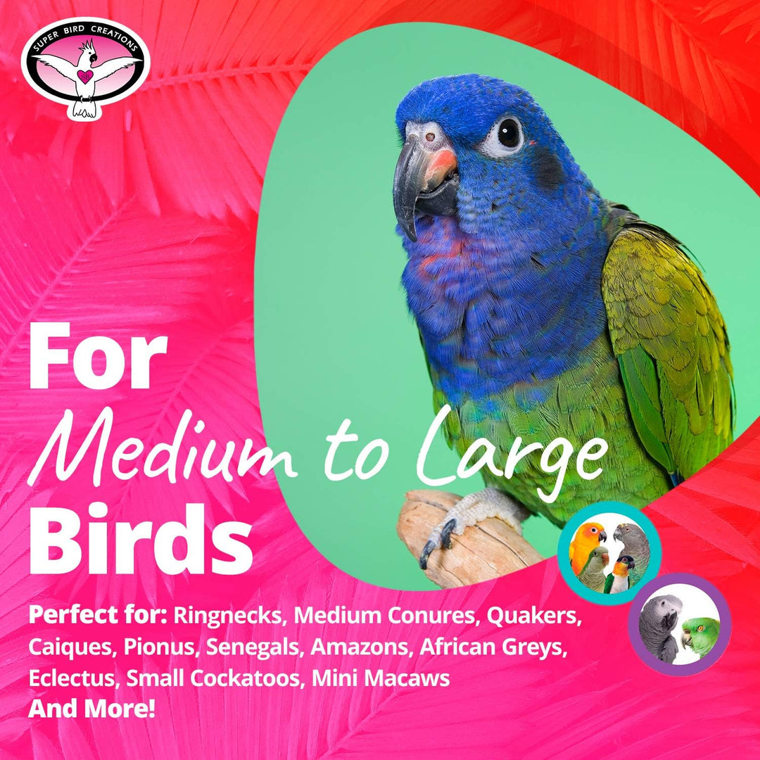 Colorful parrot on a pink and green background with text about bird types.
