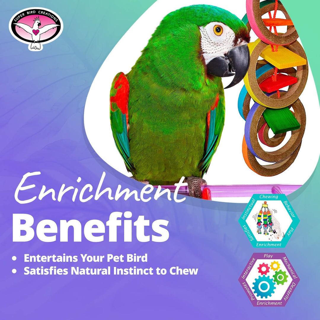 Colorful parrot with a Super Bird Creations Olympic Rings on a purple and blue background, promoting enrichment benefits for pets.