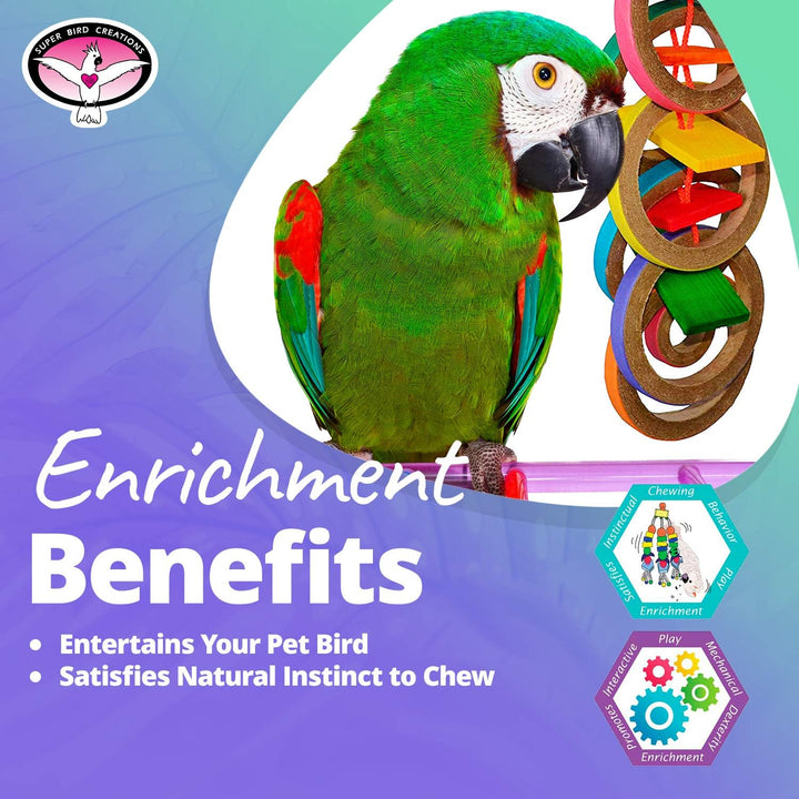 Colorful parrot with a Super Bird Creations Olympic Rings on a purple and blue background, promoting enrichment benefits for pets.