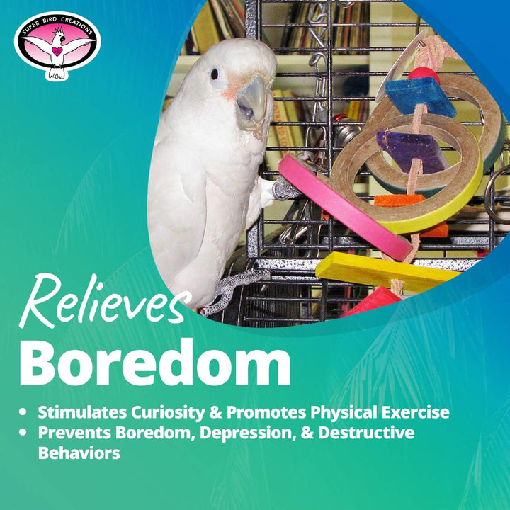 White parrot in a colorful cage with text about relieving boredom and promoting physical exercise.
