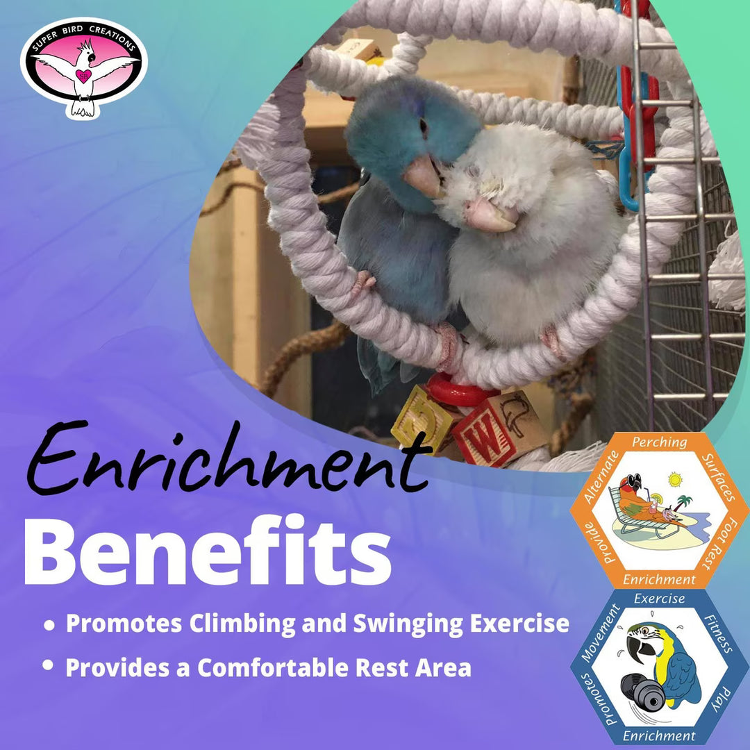Two birds on Super Bird Creations Orbiter with text about enrichment benefits and a brand logo.