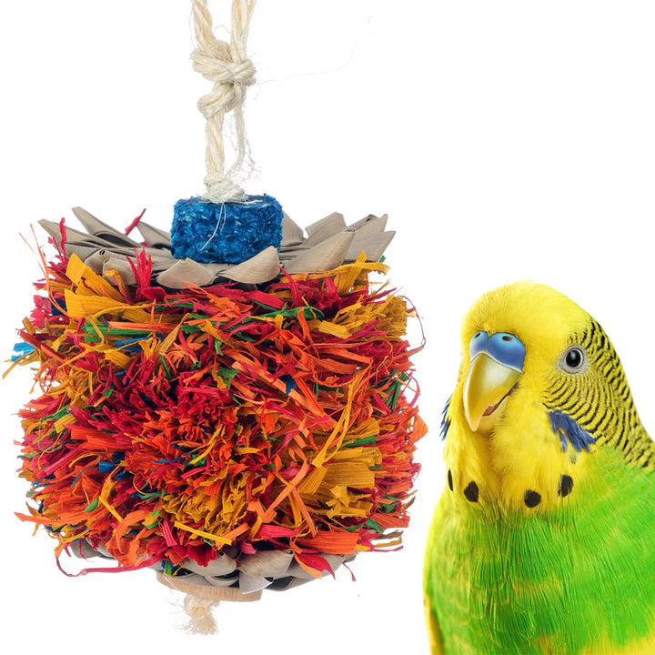 Colorful bird toy (Super Bird Creations Palm Puff) with a parrot on a white background