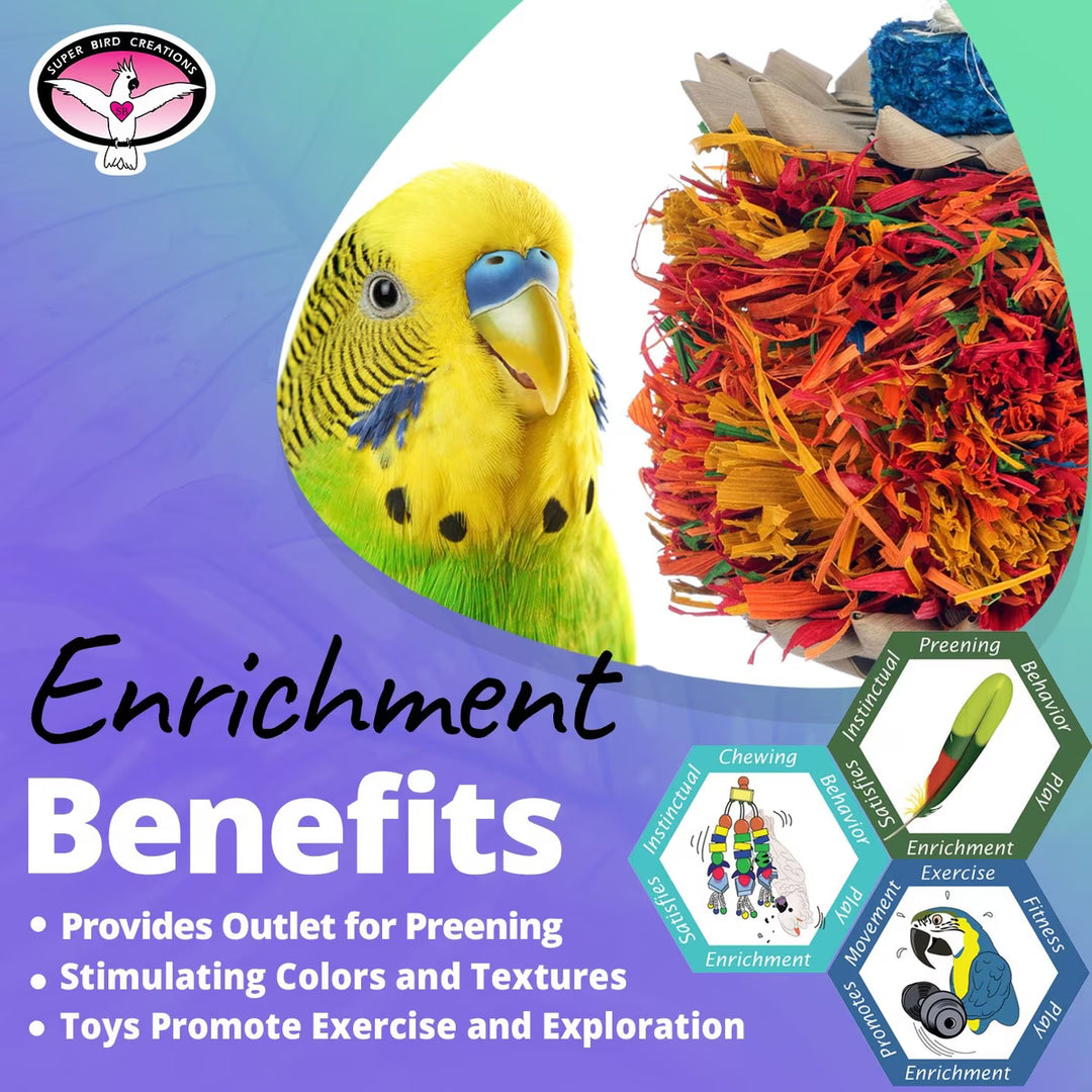 Colorful parrot next to Super Bird Creations Palm Puff with text about enrichment benefits on a gradient background