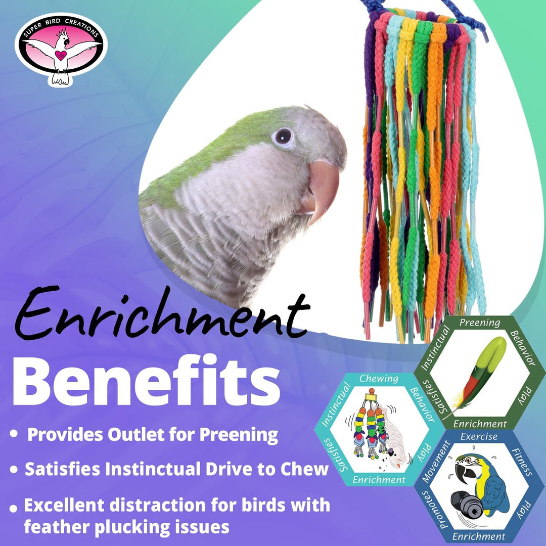 Bird toy with colorful strings and a parrot on a blue and green background, featuring text about enrichment benefits.