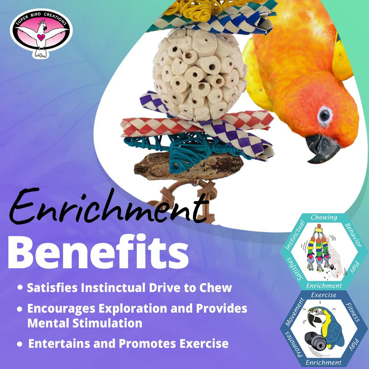 Super Bird Creations Sola Ball Delight Bird toy with text about enrichment benefits on a colorful background