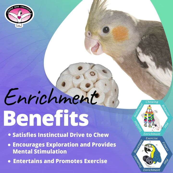 Cockatiel with a pile of wooden chew toys and text about enrichment benefits on a colorful background.