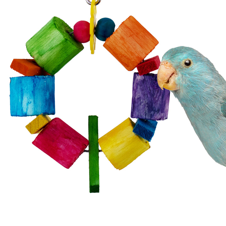 Super Bird Creations Sola Balsa Ring bird toy with a parrot interacting with it on a white background