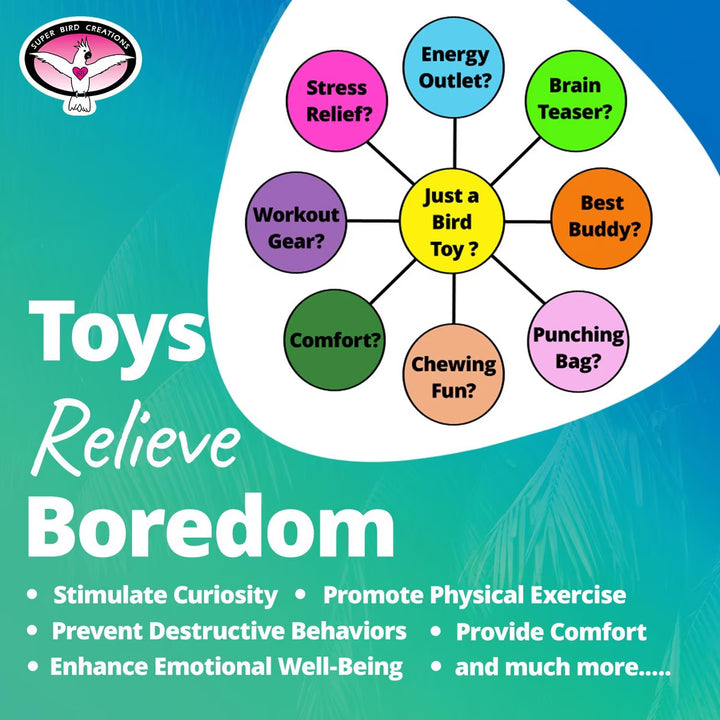 Diagram of a bird toy's functions with colorful labels on a blue and green background.