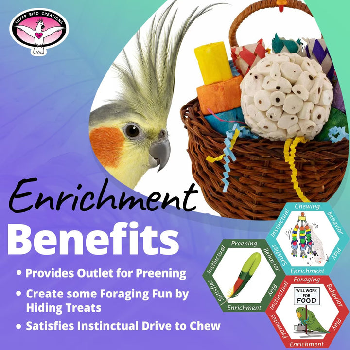 Parrot with enrichment toys and benefits text on a colorful background