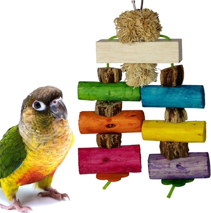 Super Bird Creations Sola Surprise bird toy with wooden blocks and a parrot on a white background