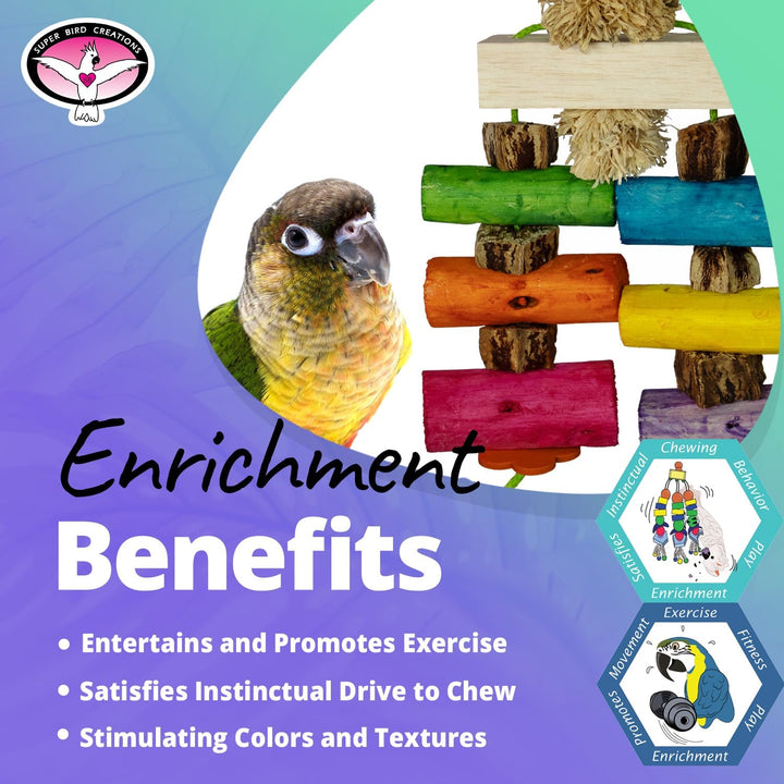 Super Bird Creations Sola Surprise Bird toy with colorful wooden blocks and a parrot, featuring text about enrichment benefits.