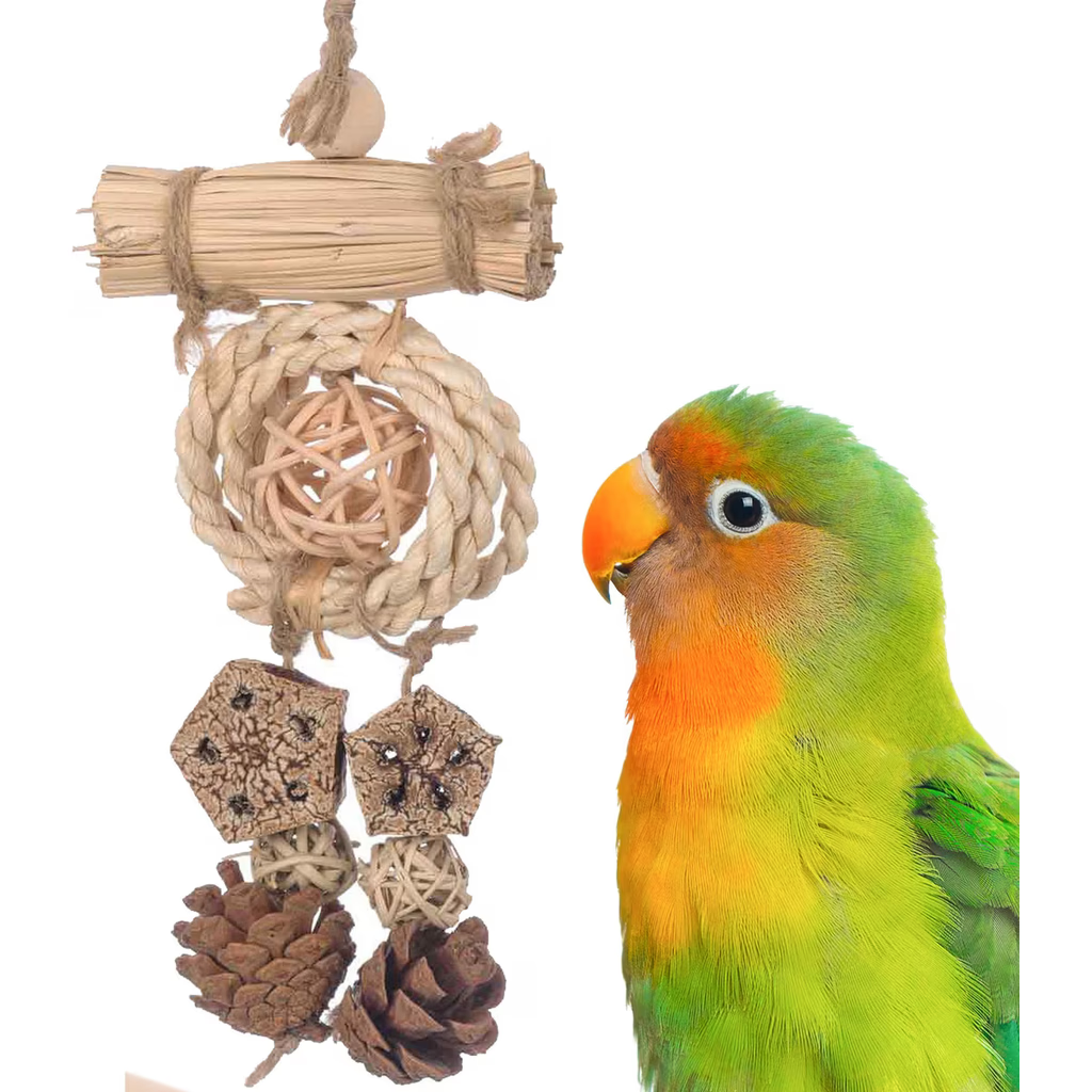Colorful parrot next to a Super Bird Creations Dangler Delight on a white background