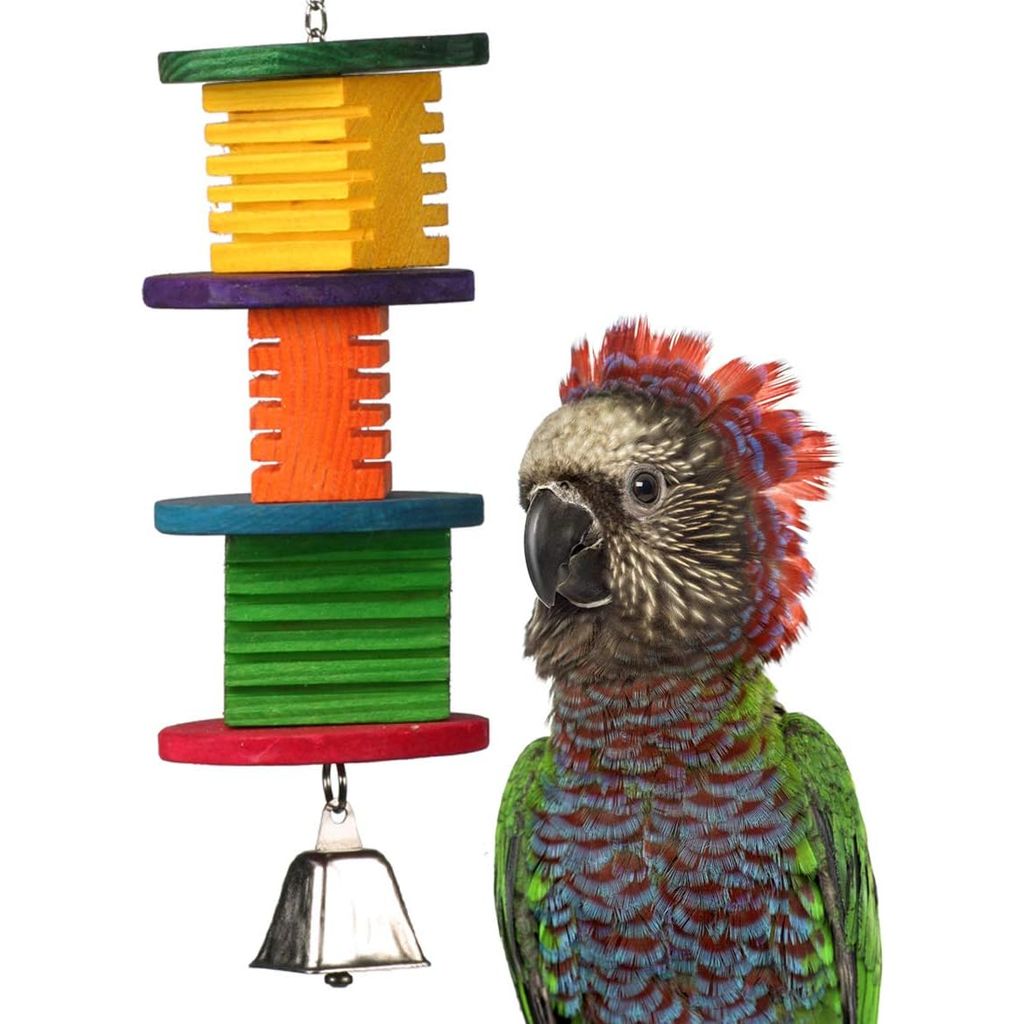 Super Bird Creations Disco Fever bird toy with a parrot on a white background