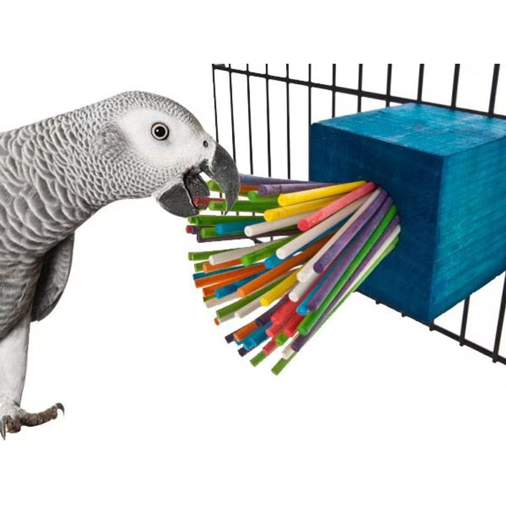 Gray parrot interacting with a colorful bird toy (Super Bird Creations Extra Large Paper Party).
