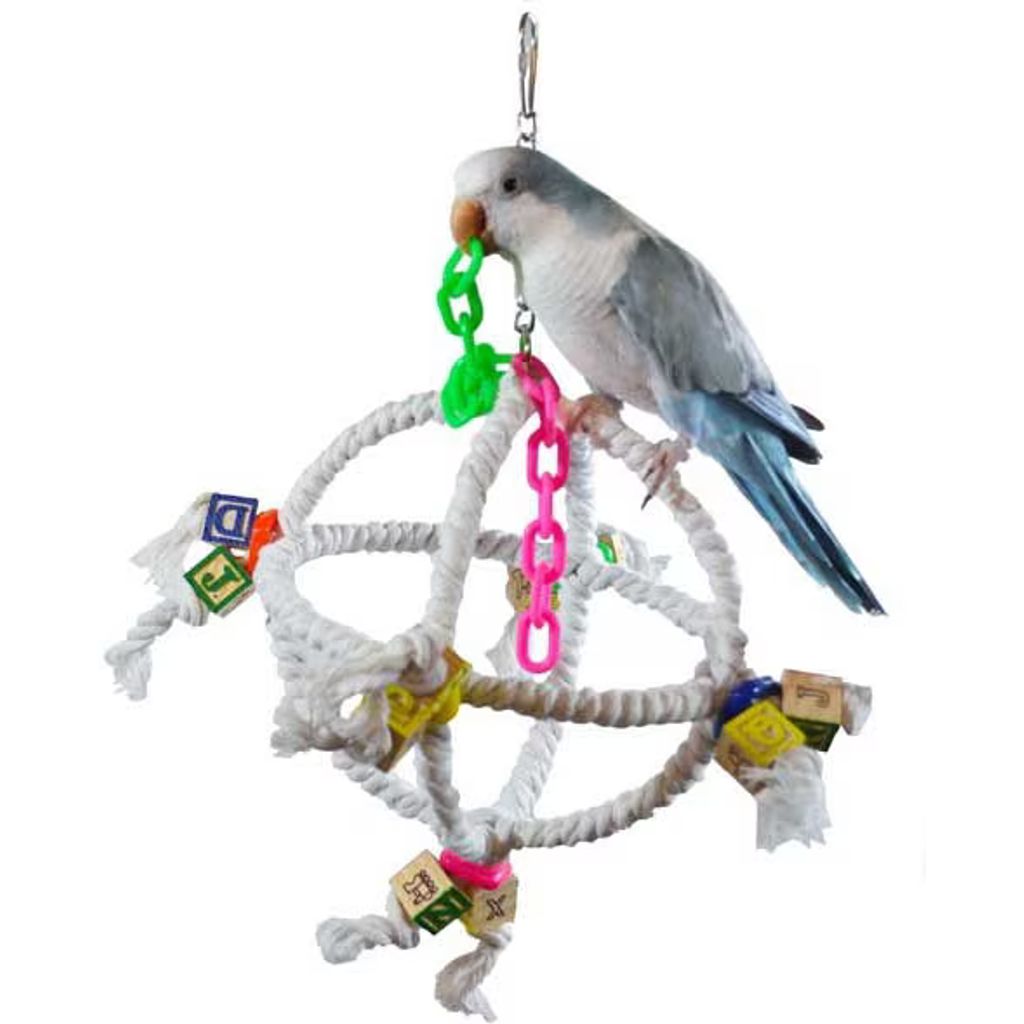 Bird perched on a rope wheel toy - Super Bird Creations Orbiter, with colorful attachments on a white background
