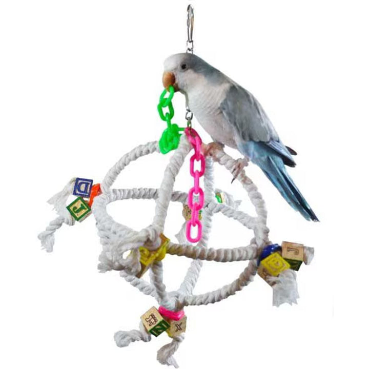 Bird perched on a rope wheel toy - Super Bird Creations Orbiter, with colorful attachments on a white background