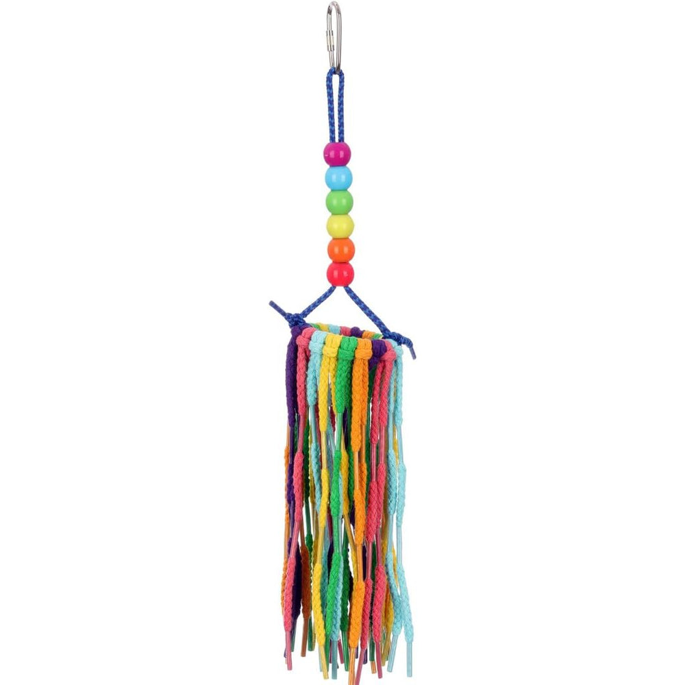 Colorful bird toy (Super Bird Creations Rainbow Aglets - Small) with beads and tassels on a white background