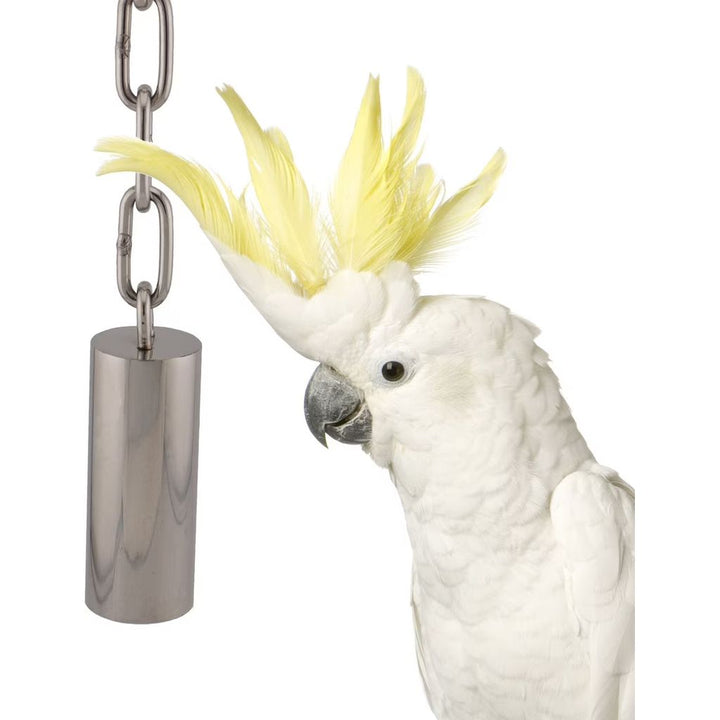 White parrot with yellow feathers on a white background next to Super Bird Creations SS Tube Bell - Medium