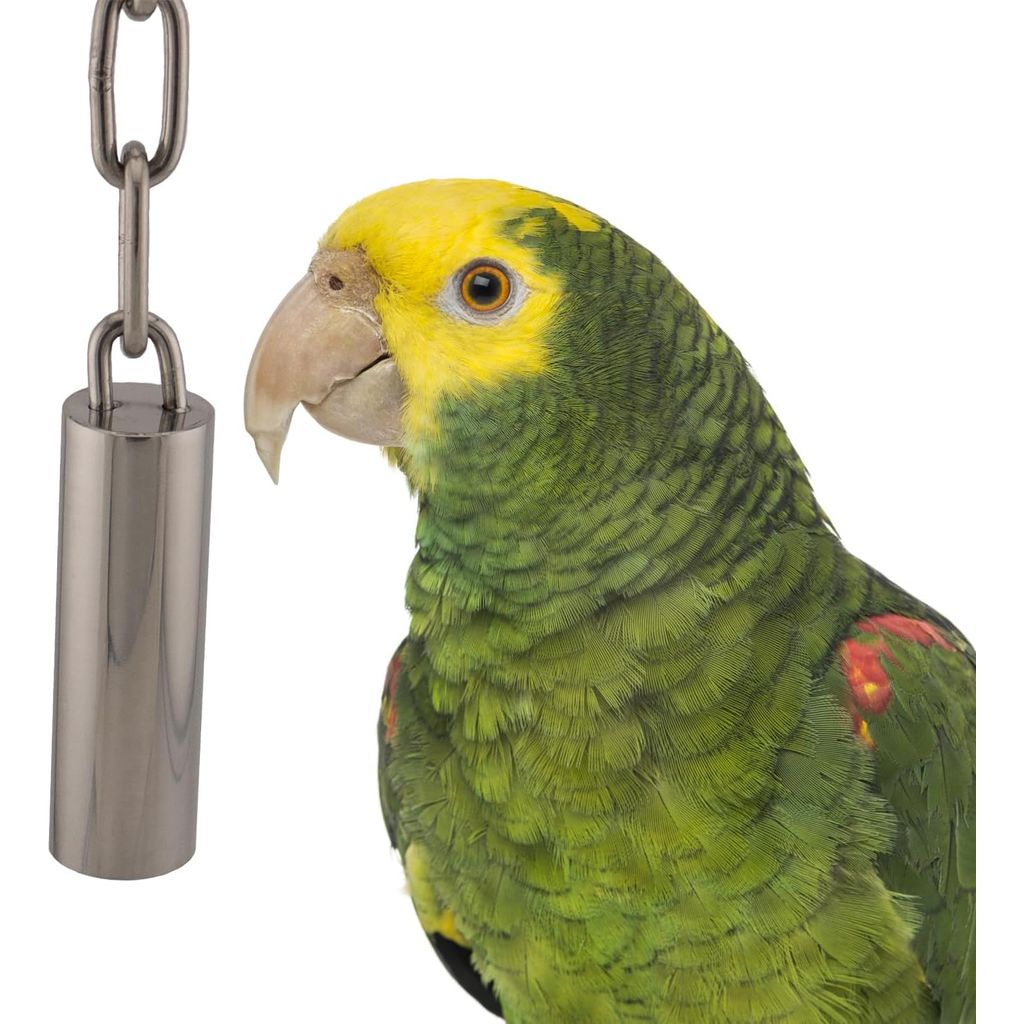 Green parrot with yellow face next to a metal bell on a white background