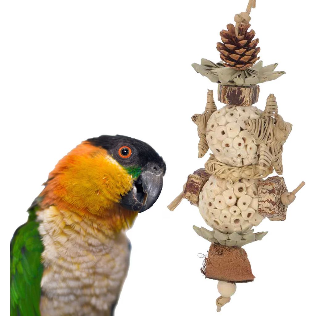Colorful parrot next to Super Bird Creations Sola Star Tree bird toy on a white background
