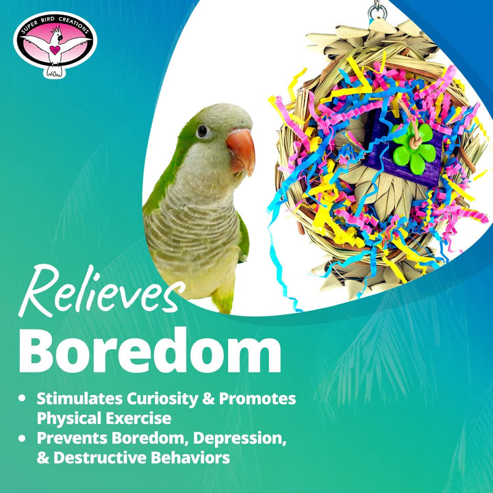 Parrot next to Super Bird Creations Beakwhich bird toy with text about relieving boredom and promoting physical exercise.