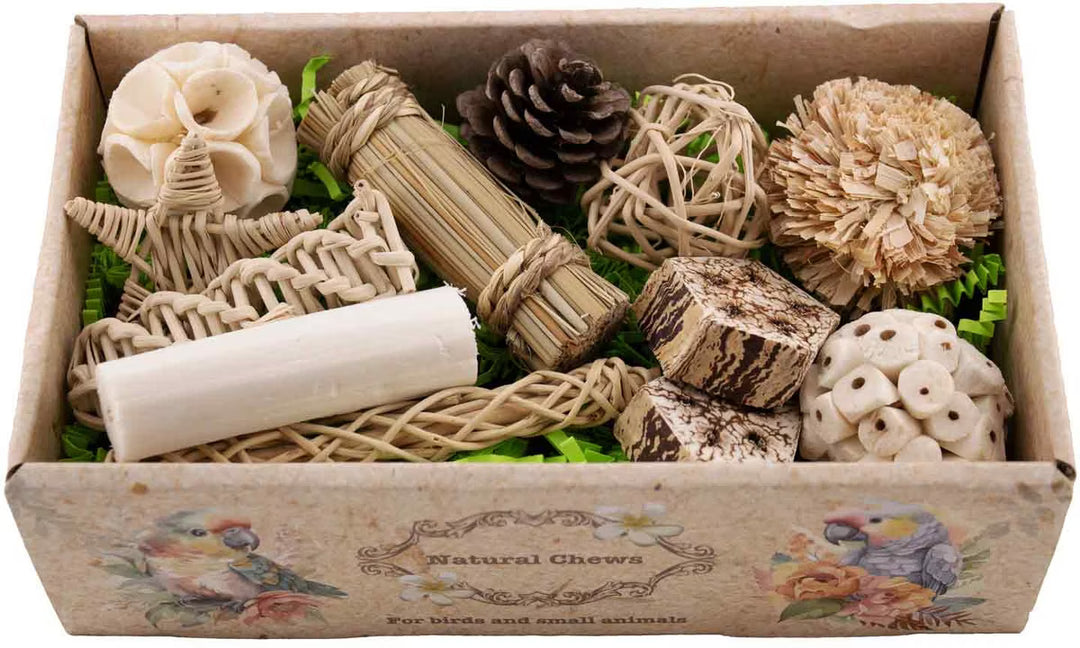 Assorted natural chew toys for pets in a decorative box.