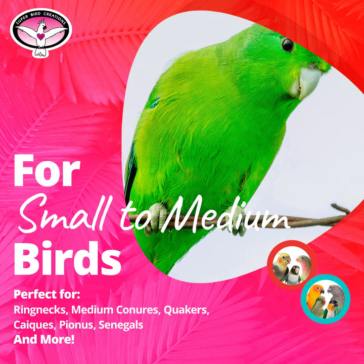 Green parrot on a branch with text about bird care products on a pink background