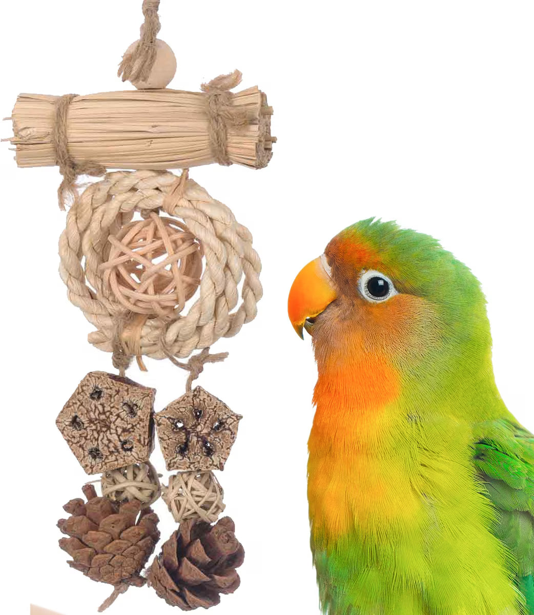 Colorful parrot next to a Super Bird Creations Dangler Delight on a white background