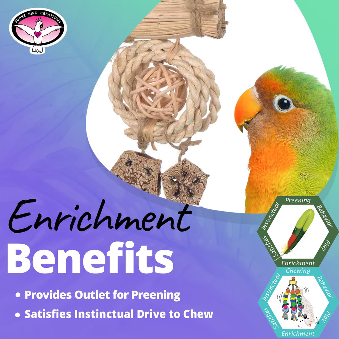 Bird toy (Super Bird Creations Dangler Delight)with text about enrichment benefits for birds, featuring a colorful parrot.
