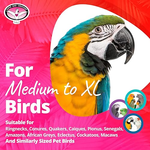 Colorful parrot on a pink background with text about bird care products.