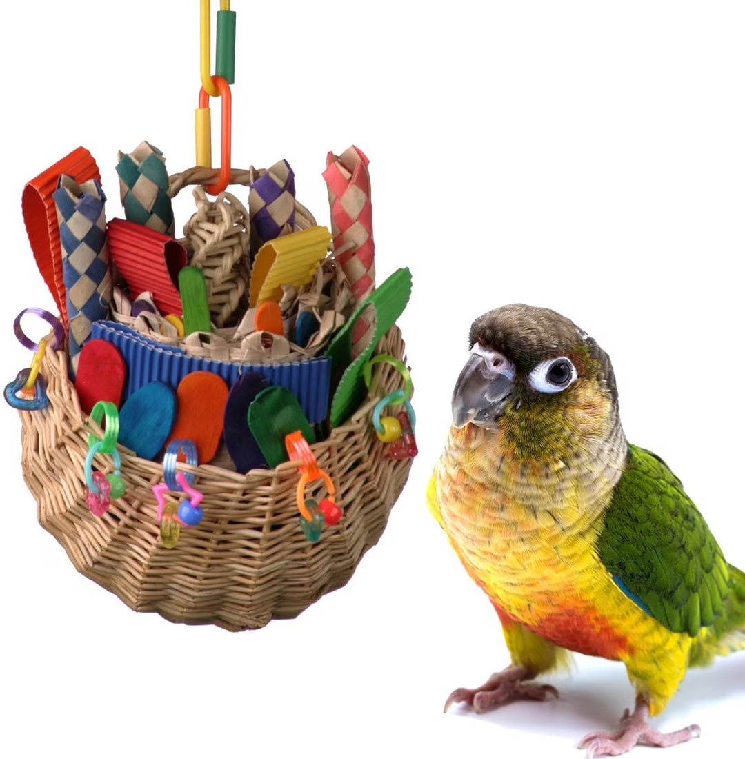 Colorful Super Bird Creations Foraging Basket with a parrot next to it on a white background