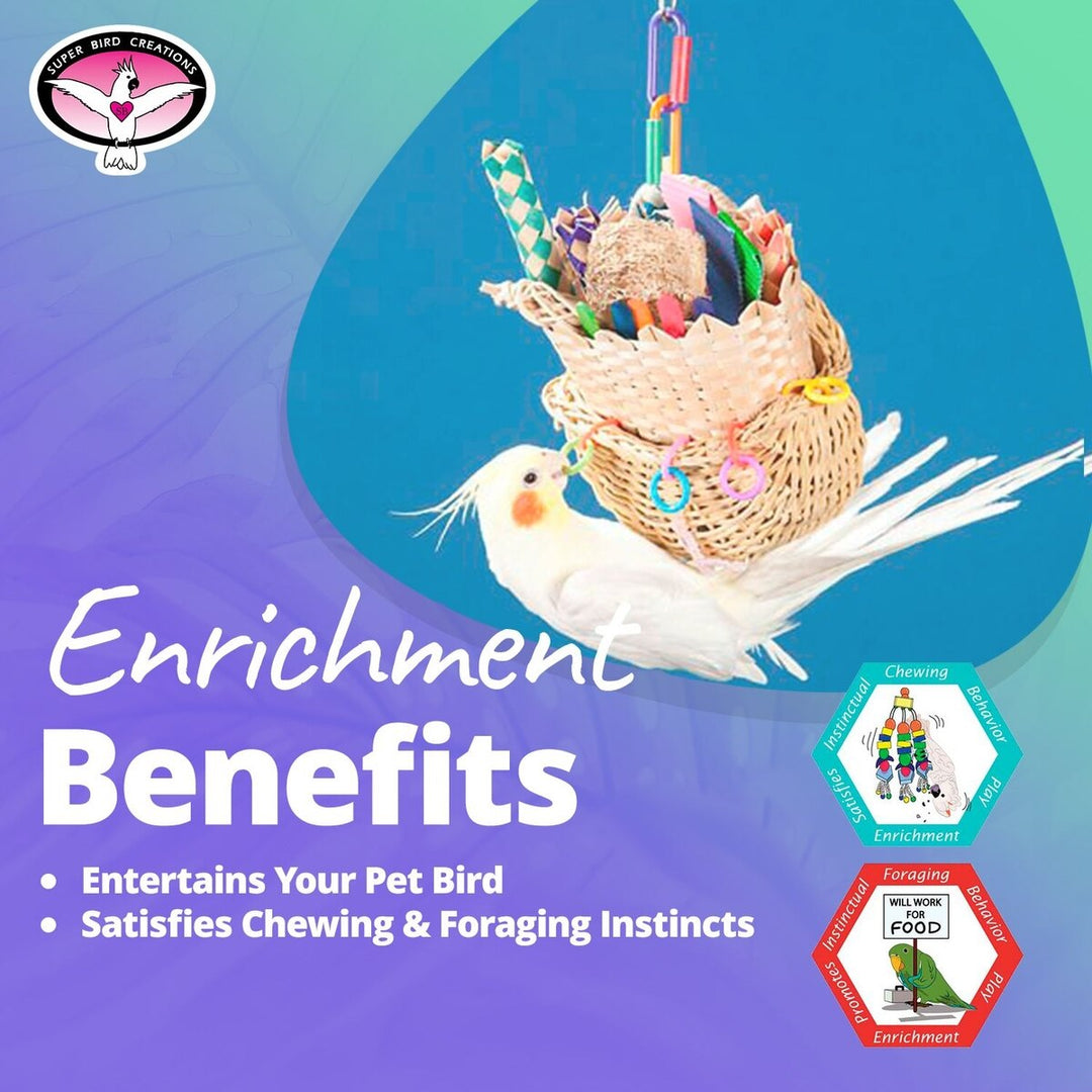 Bird toy with text about enrichment benefits on a blue and green gradient background