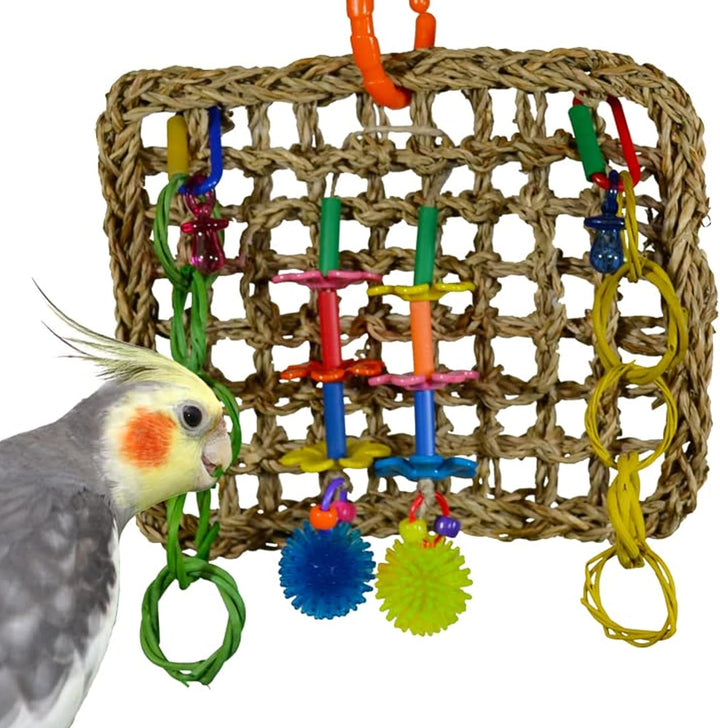 Super Bird Creations Mini Activity Wall with colorful components on a woven base, featuring a parrot next to it.