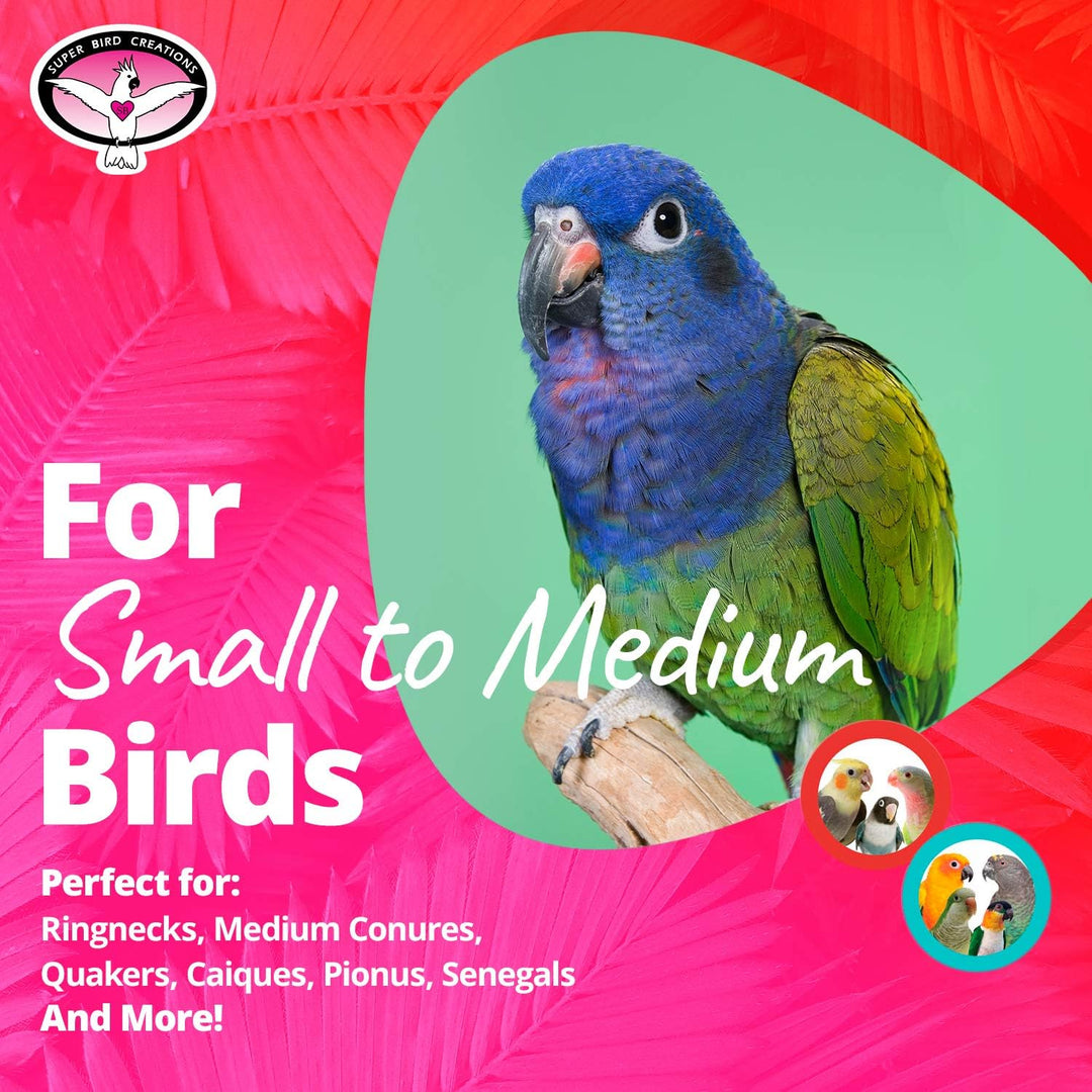 Colorful parrot on a branch with text about bird care products on a pink and green background