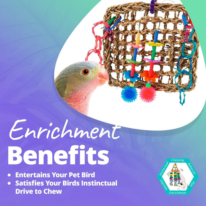 Super Bird Creations Mini Activity Wall with colorful beads and a bird on a gradient background