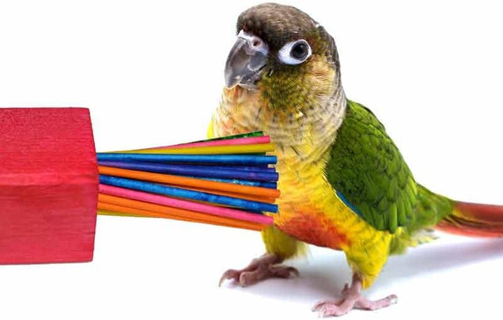 Colorful parrot holding a bundle of multicolored straws on a white background