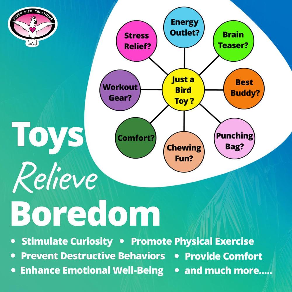 Diagram of a bird toy's functions with colorful labels on a blue and green background.
