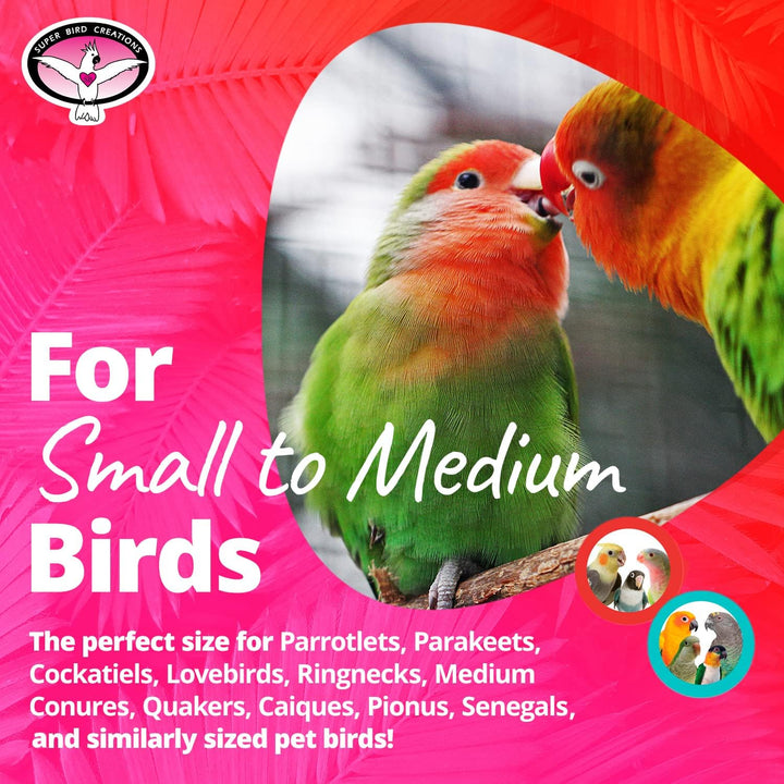 Two colorful birds on a pink background with text about Super Bird Creations Polly Preener.