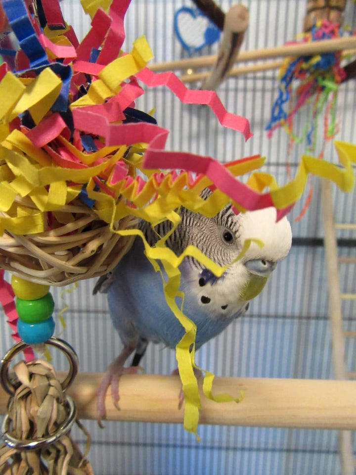 Bird perched on a colorful Super Bird Creations Polly Preener inside a cage