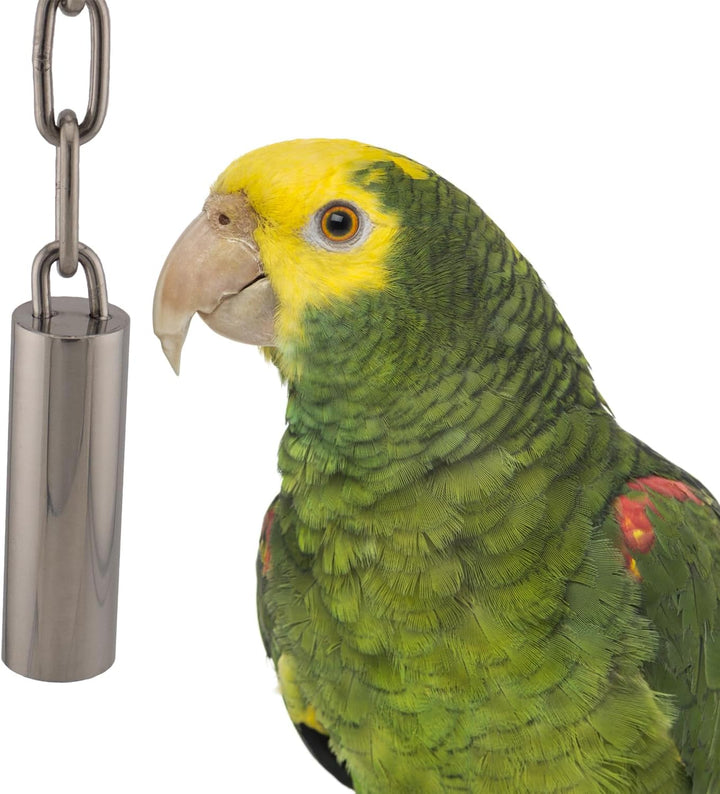 Green parrot with yellow face next to a metal bell on a white background