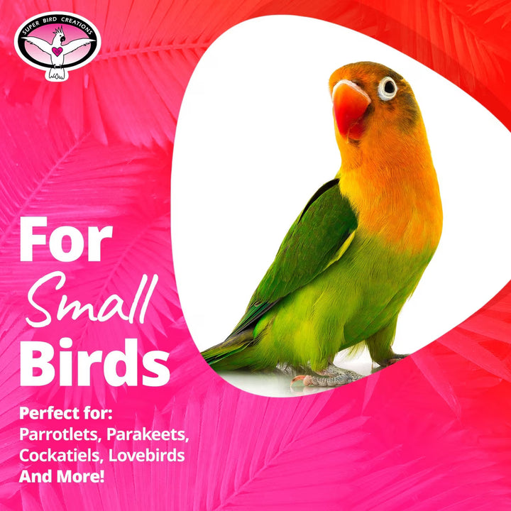 Colorful parrot on a pink background with text about small bird accessories.