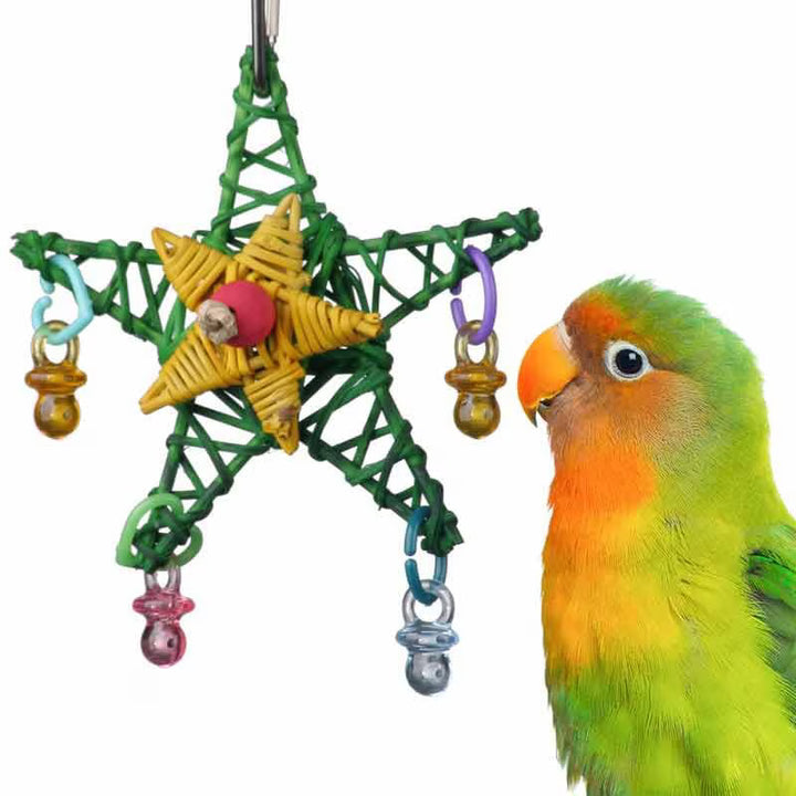 Colorful Super Bird Creations Xmas Star bird toy with a star and beads next to a parrot on a white background