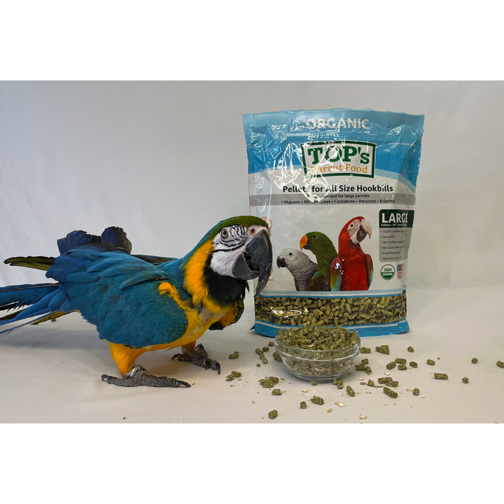 TOP4-TOPs-Parrot-Food-Parrot-Pellets-4-lb-1-with-bird-and-pellets