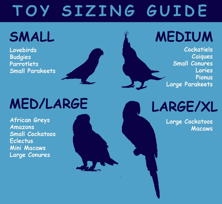 Toy sizing guide for birds with silhouettes and descriptions on a blue background