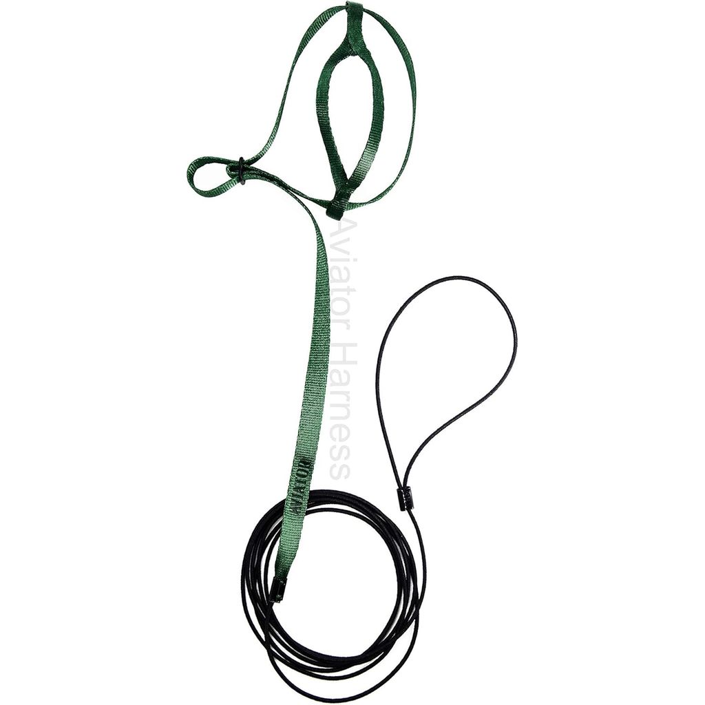 Aviator Harness and leash image x-small green