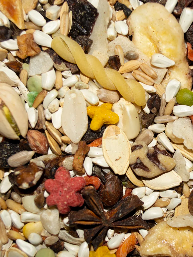 VM208040406-Volkman-Avian-Science-Super-African-Grey-&-Amazon-Parrot-Food-4-lb-feed