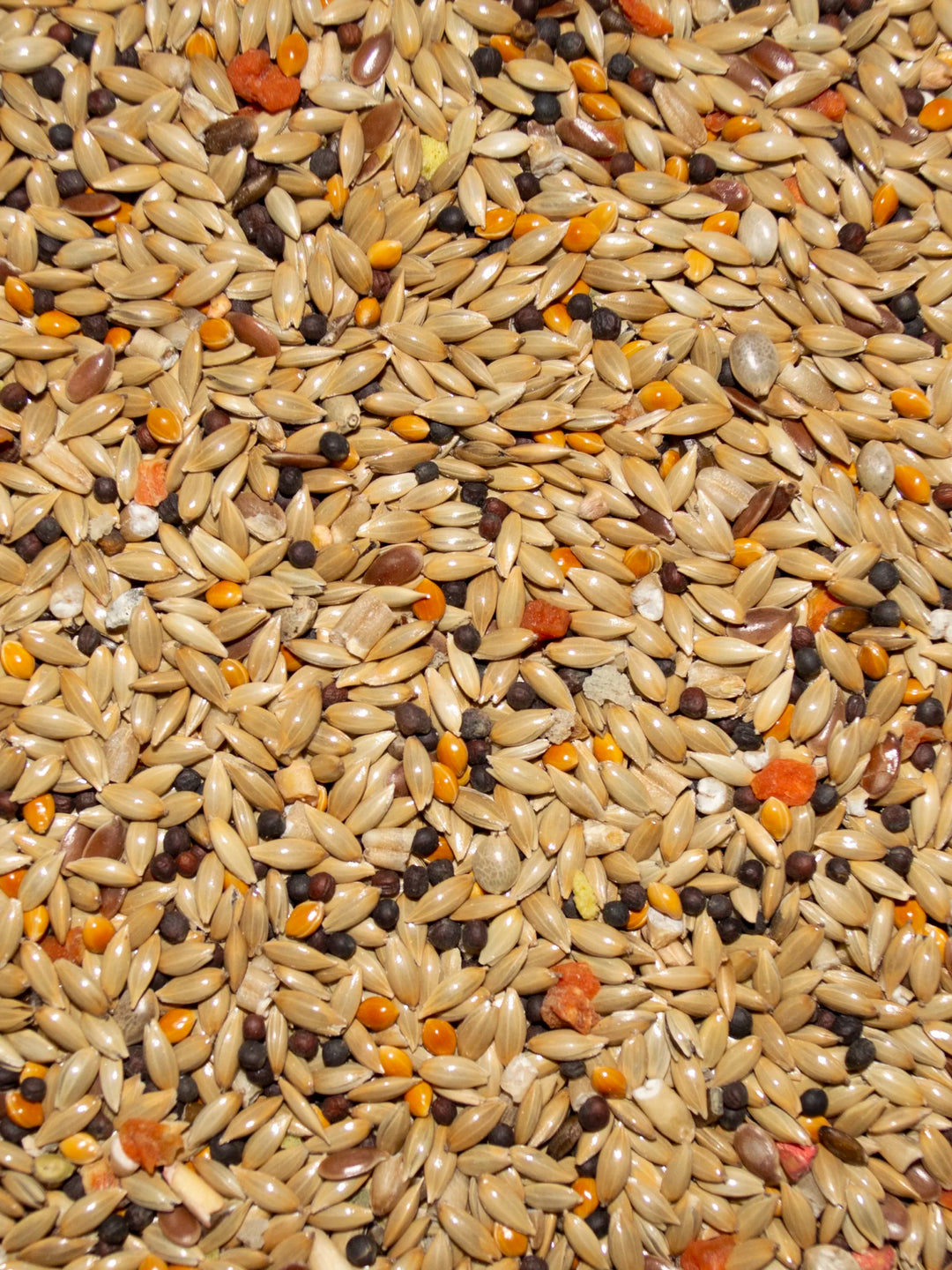 VM211040406-Volkman-Avian-Science-Super-Canary-Food-4-lb-feed